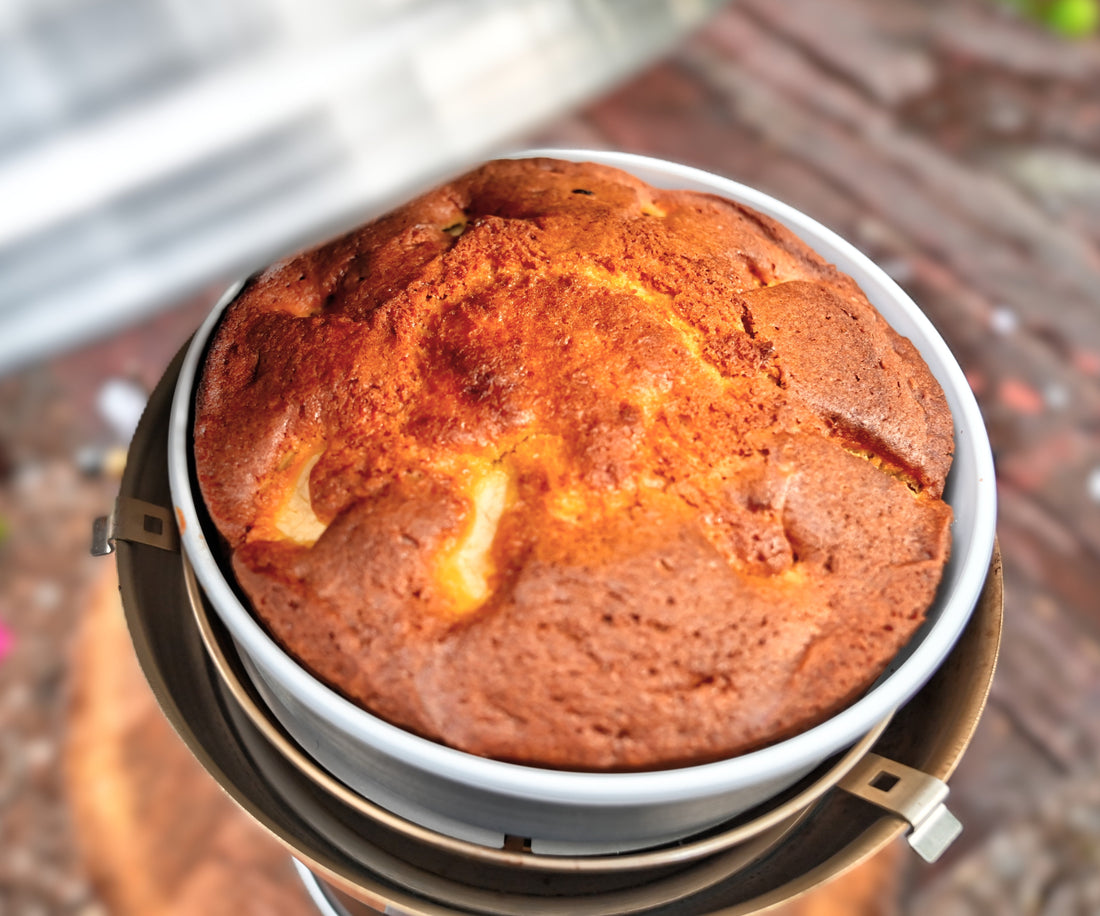 Apple raisin cake