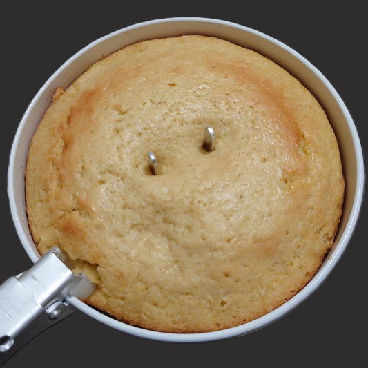 Sponge cake